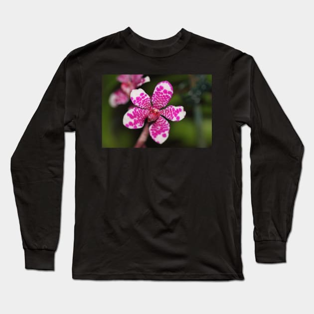 Pink and White Orchid Long Sleeve T-Shirt by Carole-Anne